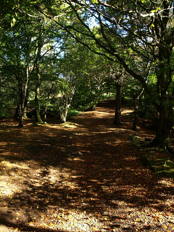 Footpath