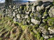 Glen Artney, Perthshire (15)