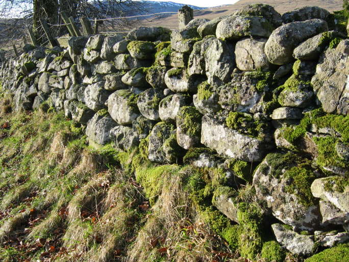 Glen Artney, Perthshire (15)