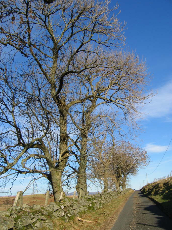 Glen Artney, Perthshire (17)