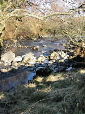 Glen Artney, Perthshire (25)