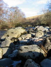 Glen Artney, Perthshire (28)