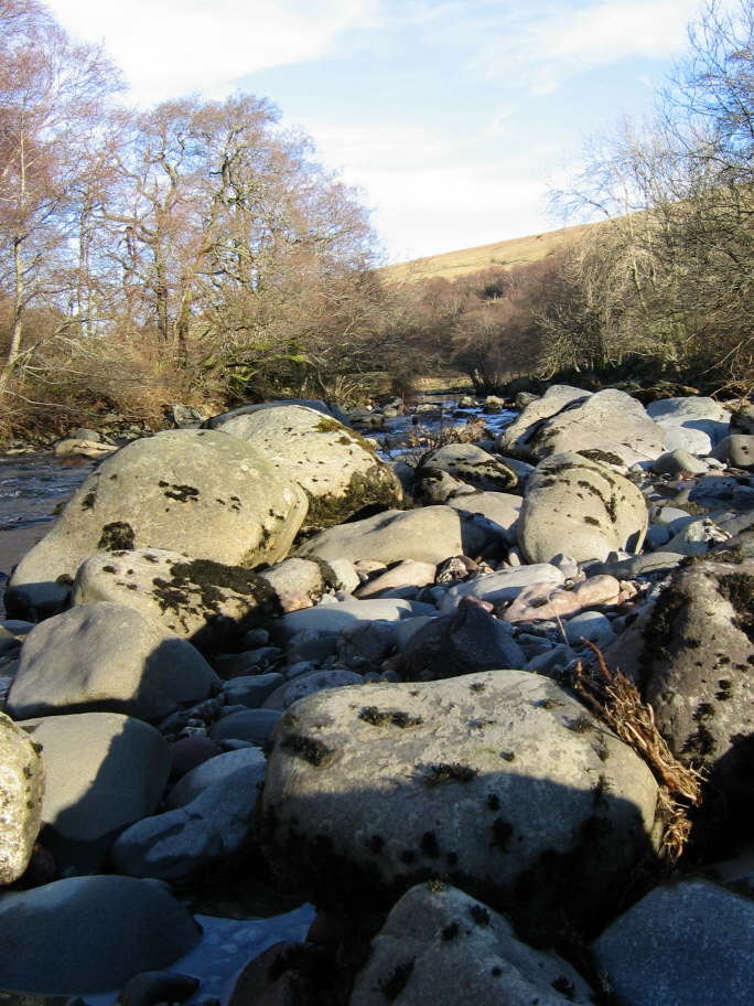 Glen Artney, Perthshire (28)