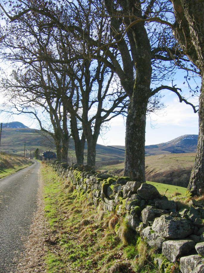 Glen Artney, Perthshire (2)