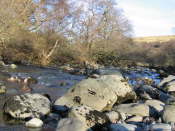 Glen Artney, Perthshire (32)
