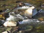 Glen Artney, Perthshire (40)