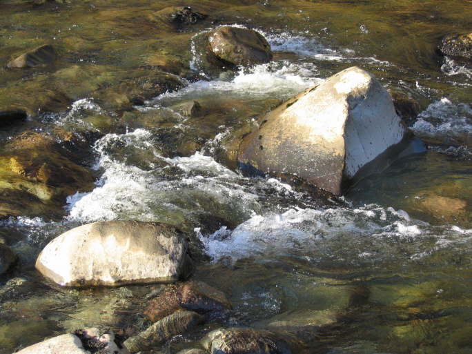 Glen Artney, Perthshire (40)