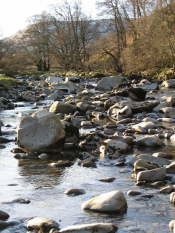 Glen Artney, Perthshire (43)