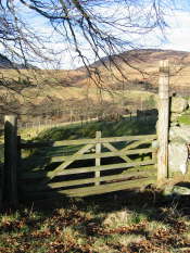 Glen Artney, Perthshire (5)
