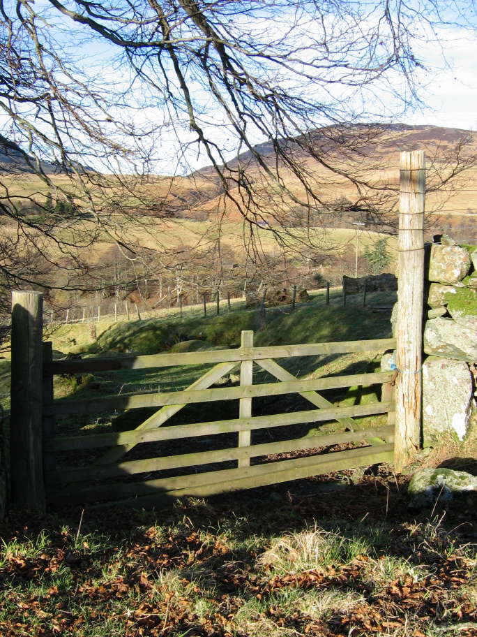 Glen Artney, Perthshire (5)