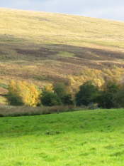 Glen Clova