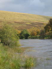 Glen Clova