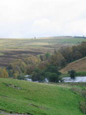 Glen Clova