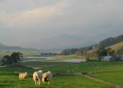 Glen Clova