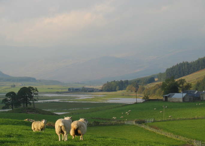 Glen Clova