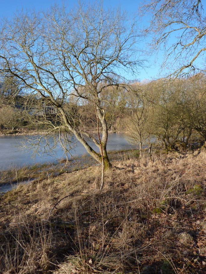 Methven Loch