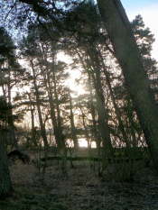 Loch Leven side