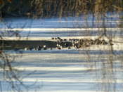 Methven Loch