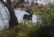Methven Loch