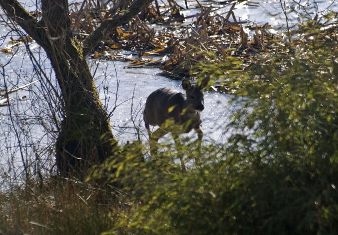 Methven Loch