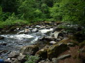 River Braan at the Hermitage