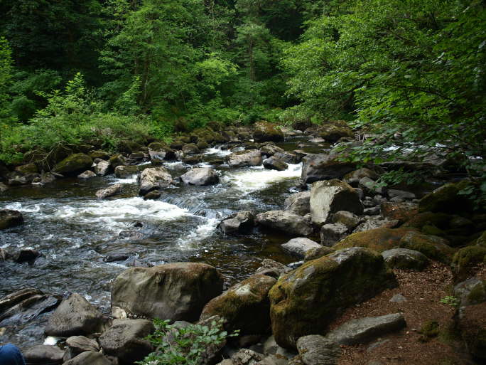 River Braan at the Hermitage