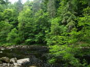 The Hermitage