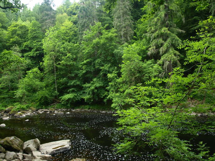 The Hermitage