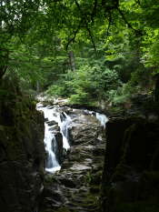 River Braan at the Hermitage