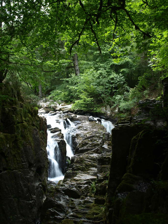 River Braan at the Hermitage