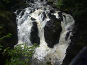 River Braan
