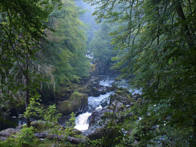 River Braan