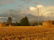 Autumn in Perthshire