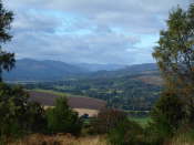 View from The Knock Crieff