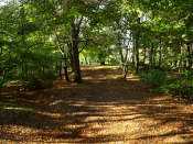 The Knock Crieff
