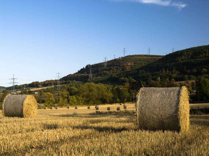 Bales at Abernethy