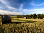 Bales at Abernethy