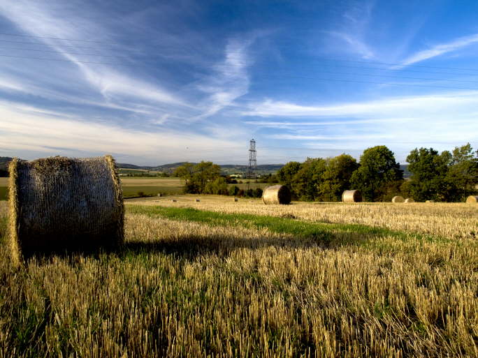 Bales at Abernethy