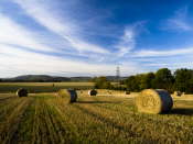 Bales at Abernethy