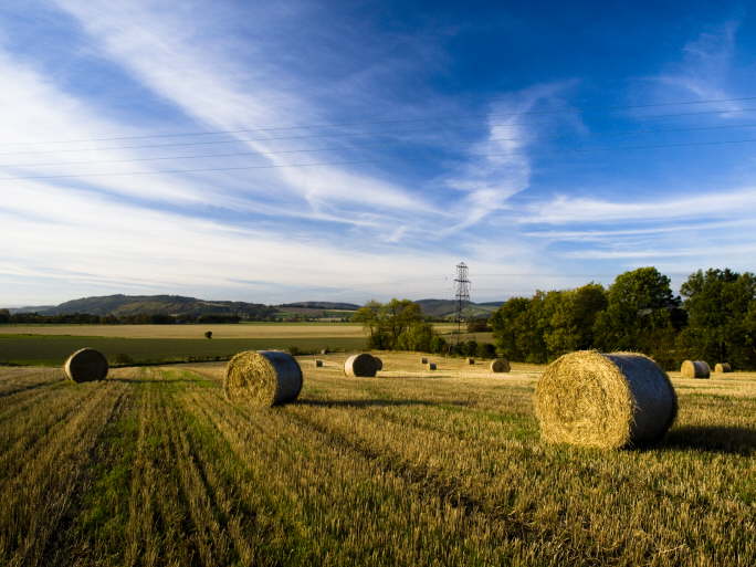 Bales at Abernethy