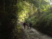 Abernethy