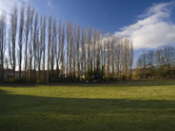 Abernethy